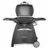 Acheter 👏 Weber Q2200 Avec Chariot Black Grill - Gril à Gaz ⌛ -Magasin de vente WMF unnamed file 1075