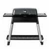 Acheter 🔔 Everdure FURNACE Grill Trois Brûleurs Graphite - Gril à Gaz 🔥