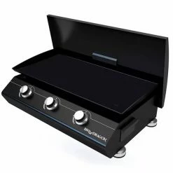 Bon marché 🎉 BBQ Dragon Plancha Biarritz - Gril à Gaz 👏