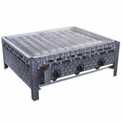 Remise 🎉 BBQ Dragon Gastro Rôti - Gril à Gaz 🔔